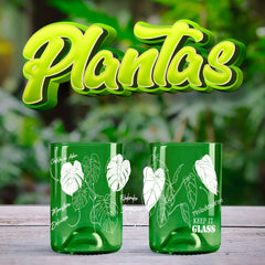 Plantas