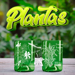 Plantas